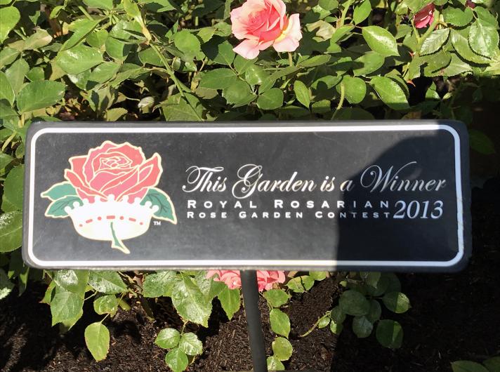 Our Beautiful Rose Garden