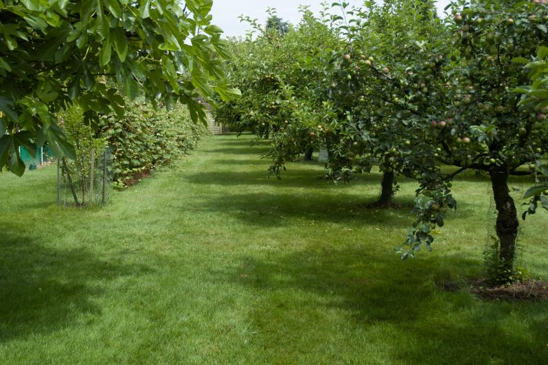 Resident Orchard